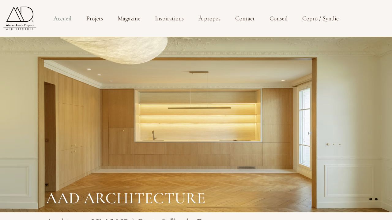 Capture du site de AAD & Partners